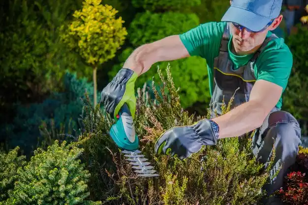 landscaping services Baldwyn